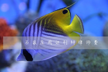 石家庄周边刑辩律师费 石家庄周边刑辩律师费