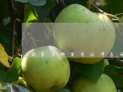 石家庄哪里有法律咨询室 石家庄哪里有法律咨询室