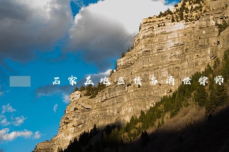石家庄地区债务清偿律师在线咨询
