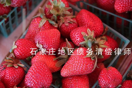 石家庄地区债务清偿律师排名 石家庄地区债务清偿律师排名