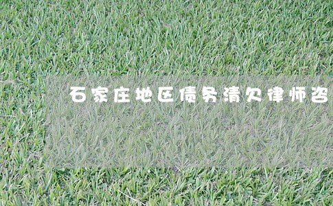 石家庄地区债务清欠律师咨询网站 石家庄地区债务清欠律师咨询网站