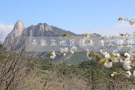 石家庄地区债务清欠律师微信咨询 石家庄地区债务清欠律师微信咨询