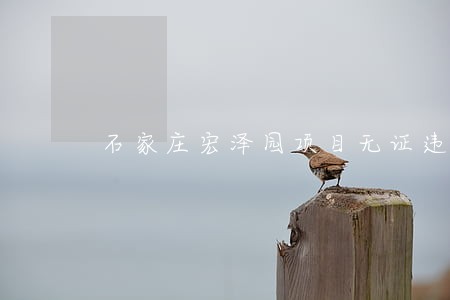 石家庄宏泽园项目无证违法施工 石家庄宏泽园项目无证违法施工