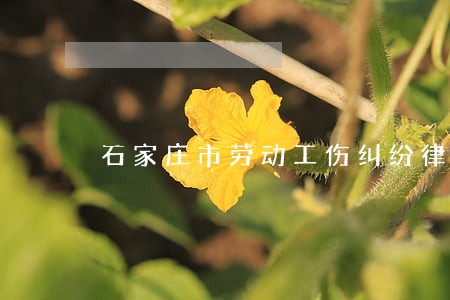 石家庄市劳动工伤纠纷律师费 石家庄市劳动工伤纠纷律师费