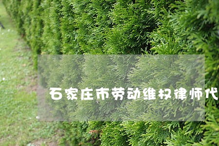 石家庄市劳动维权律师代理费 石家庄市劳动维权律师代理费