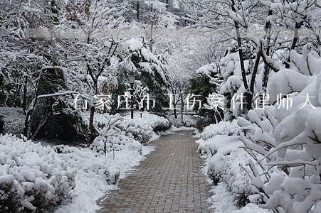石家庄市工伤案件律师大概多少钱 石家庄市工伤案件律师大概多少钱
