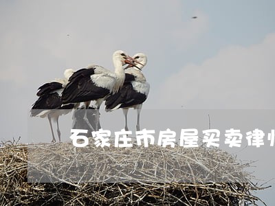 石家庄市房屋买卖律师网 石家庄市房屋买卖律师网