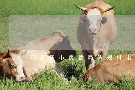 石家庄市房管局法规科电话 石家庄市房管局法规科电话