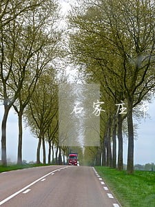 石家庄市街道违法停车扣几分 石家庄市街道违法停车扣几分