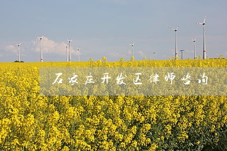 石家庄开发区律师咨询 石家庄开发区律师咨询