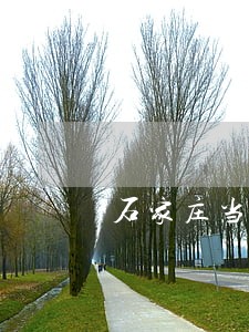 石家庄当地处理网贷逾期的法律 石家庄当地处理网贷逾期的法律