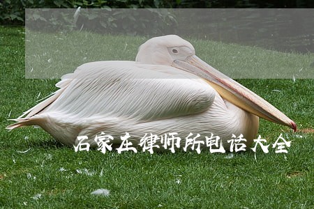 石家庄律师所电话大全 石家庄律师所电话大全