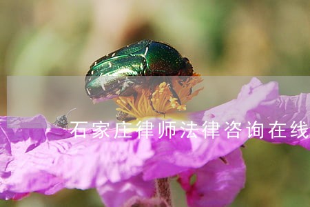 石家庄律师法律咨询在线 石家庄律师法律咨询在线