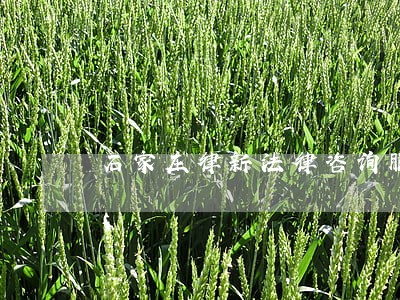 石家庄律新法律咨询服务 石家庄律新法律咨询服务