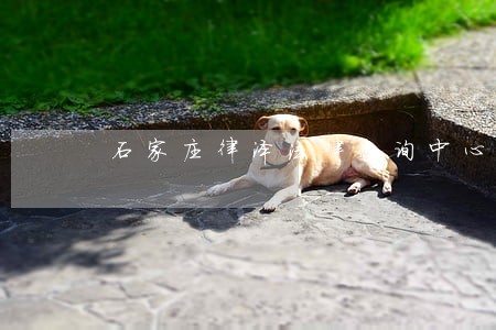 石家庄律泽法律咨询中心 石家庄律泽法律咨询中心