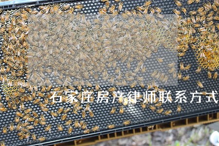 石家庄房产律师联系方式