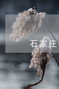 石家庄找代理债务律师介绍 石家庄找代理债务律师介绍