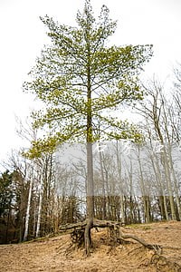 石家庄桥西法院宿舍
