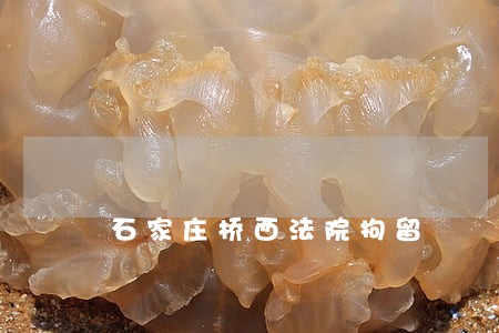 石家庄桥西法院拘留 石家庄桥西法院拘留