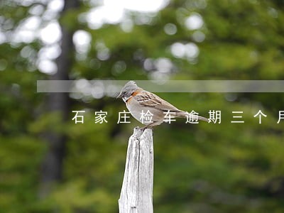 石家庄检车逾期三个月 石家庄检车逾期三个月