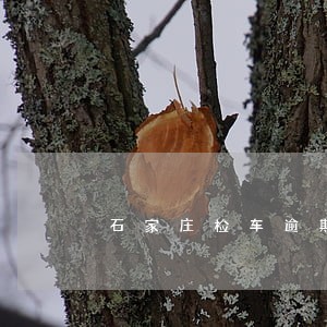 石家庄检车逾期多久罚款 石家庄检车逾期多久罚款