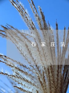 石家庄法律援助中心热线 石家庄法律援助中心热线