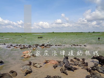 石家庄法律援助热线 石家庄法律援助热线