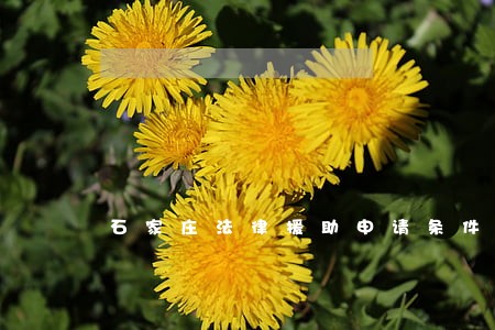 石家庄法律援助申请条件 石家庄法律援助申请条件