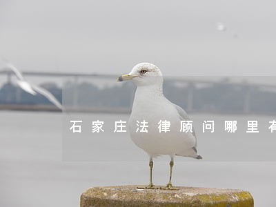 石家庄法律顾问哪里有 石家庄法律顾问哪里有