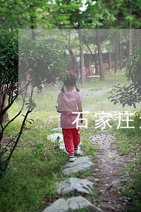 石家庄法律顾问找哪家 石家庄法律顾问找哪家