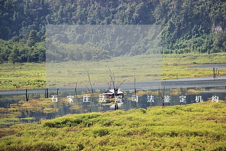 石家庄法院司法鉴定机构