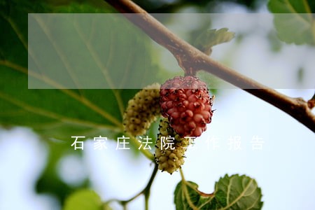 石家庄法院工作报告