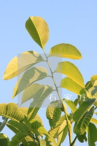 石家庄法院李洁诉讼 石家庄法院李洁诉讼