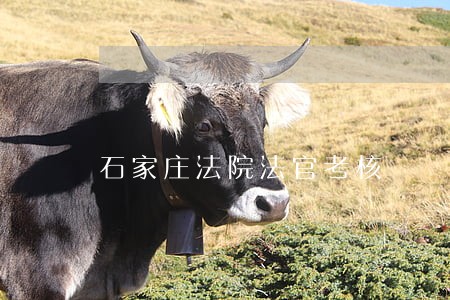 石家庄法院法官考核 石家庄法院法官考核