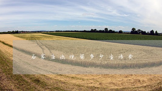 石家庄法院留多少生活费 石家庄法院留多少生活费