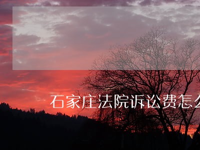 石家庄法院诉讼费怎么收 石家庄法院诉讼费怎么收