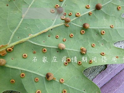 石家庄疫情期间信用卡逾期证明