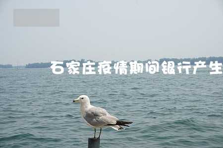 石家庄疫情期间银行产生逾期 石家庄疫情期间银行产生逾期