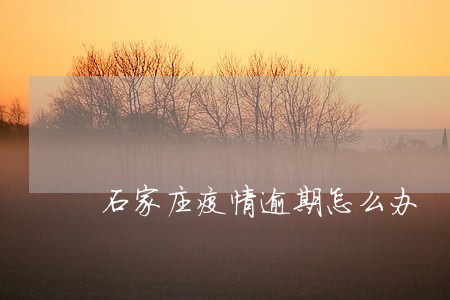 石家庄疫情逾期怎么办 石家庄疫情逾期怎么办