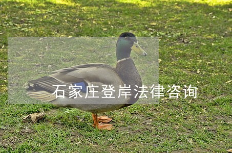 石家庄登岸法律咨询 石家庄登岸法律咨询