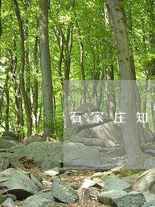 石家庄知识产权公司有哪些 石家庄知识产权公司有哪些