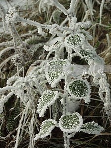 石家庄税务登记证逾期罚款 石家庄税务登记证逾期罚款