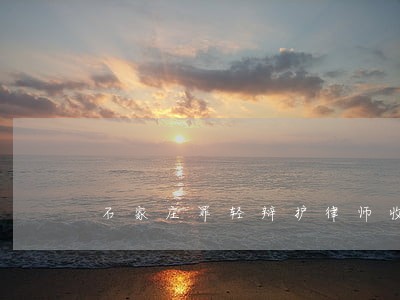 石家庄罪轻辩护律师收费标准 石家庄罪轻辩护律师收费标准