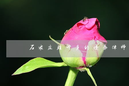 石家庄胜诉多的债务律师费怎么算 石家庄胜诉多的债务律师费怎么算