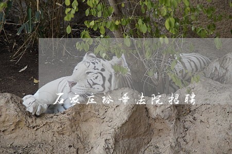 石家庄裕华法院招聘 石家庄裕华法院招聘