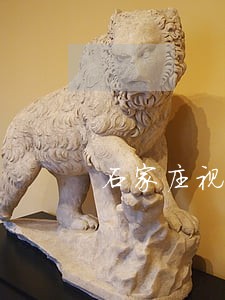 石家庄视频举报交通违法
