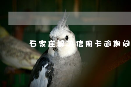 石家庄解决信用卡逾期问题 石家庄解决信用卡逾期问题