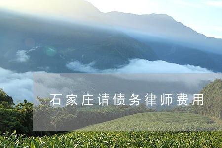 石家庄请债务律师费用 石家庄请债务律师费用