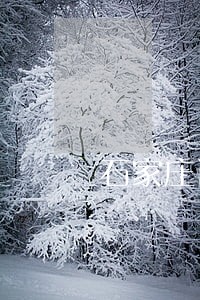 石家庄请房产合同律师 石家庄请房产合同律师
