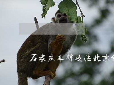石家庄车牌违法北京能交罚款吗 石家庄车牌违法北京能交罚款吗